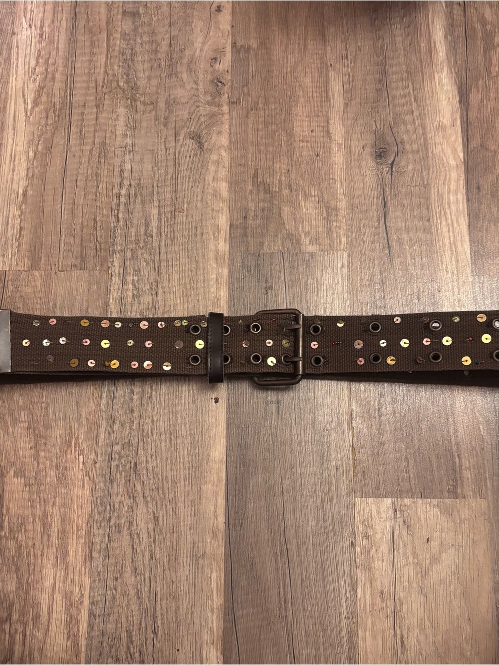 Brown Studded Canvas Belt with Multicolor Eyelets